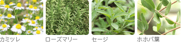 完全無農薬のオーガニックハーブエキス
