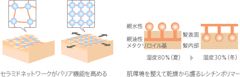 ボディシャンプーの保湿剤